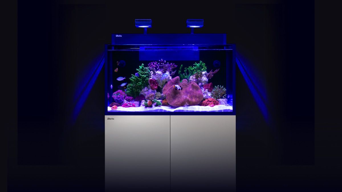 Red Sea MAX NANO G2 XXL inkl. weißer Unterschrank (R40091G2-EUR)