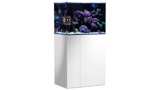 Aqua Medic Armatus 250 weiß 75x50x55 cm