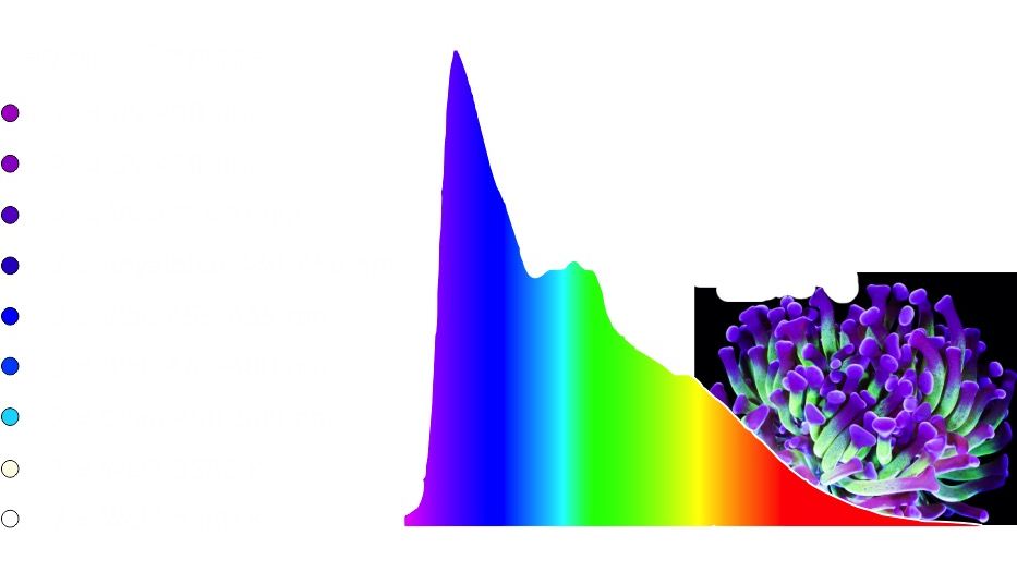 Giesemann STELLARIS pro marine 1200 mm polarweiß (400 W)