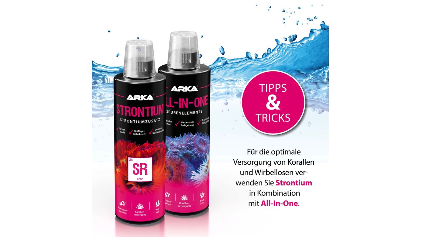 ARKA Strontium & Molybdän Strontiumzusatz 118 ml