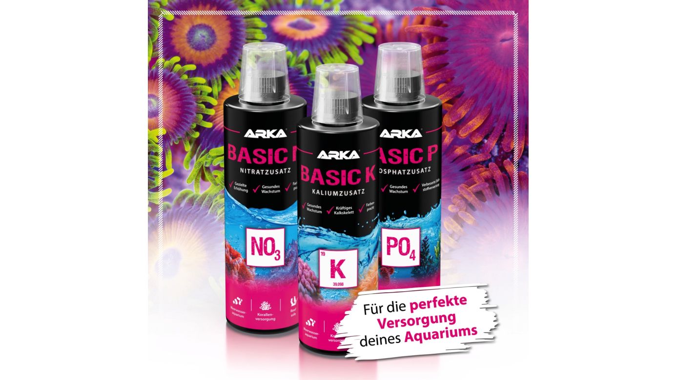 ARKA Basic K Kaliumzusatz 118 ml