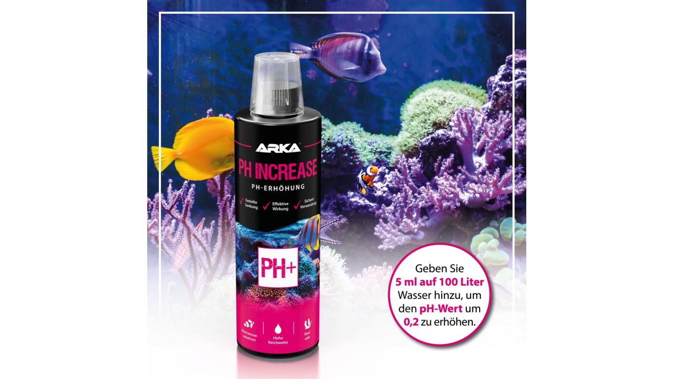 ARKA pH Increase pH-Wert sicher erhöhen 473 ml