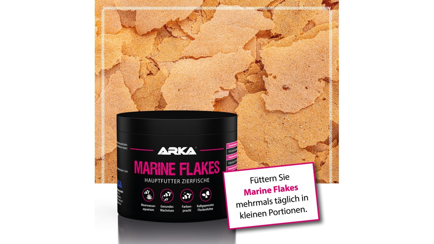 ARKA Marine Flakes Flockenfutter 250 ml (30 g)
