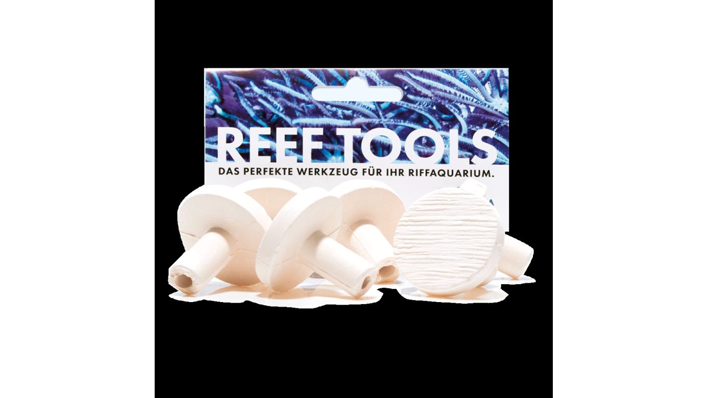Fauna Marin Maxi Reef Disc Ø 3,3cm Maxi Ablegersteine (12 St.)