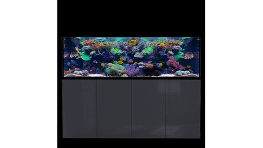 *NEU* D-D AQUA-Pro Reef 2100 Metal Frame Anthracite Gloss Aquariumsystem 210x65x68cm