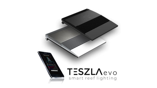 Giesemann TESZLA evo marine schwarz (90 W)
