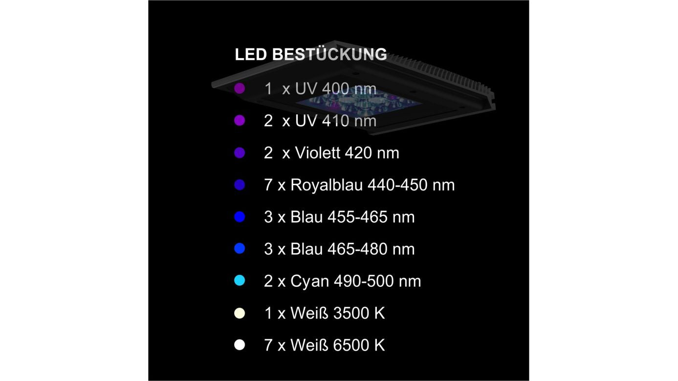 Giesemann TESZLA evo marine schwarz (90 W)