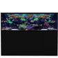 *NEU* D-D AQUA-Pro Reef 2100 Metal Frame Black Satin Aquariumsystem 210x65x68cm