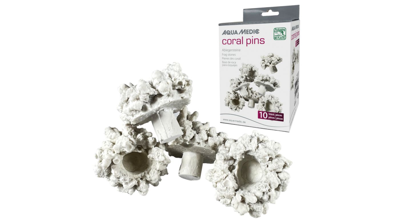 *NEU* Aqua Medic coral pins Ablegersteine (10 St.)