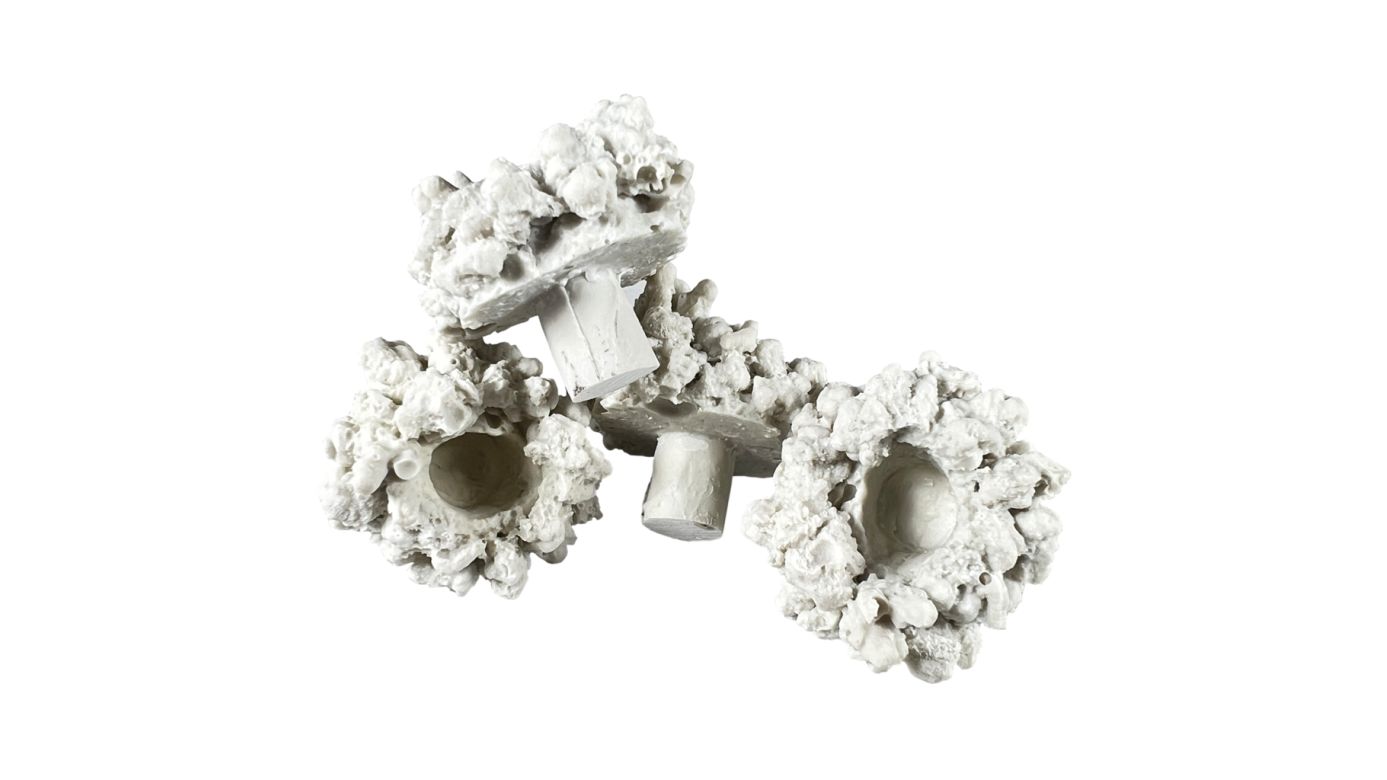 *NEU* Aqua Medic coral pins Ablegersteine (10 St.)