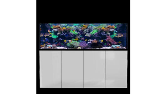 *NEU* D-D AQUA-Pro Reef 2100 Metal Frame White Gloss Aquariumsystem 210x65x68cm