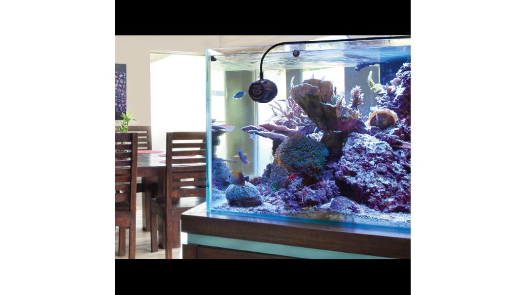 Ecotech Marine VorTech MP60m QD Pumpe (max. 34000 l/h)