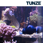 Tunze Turbelle Nanostream 6045 Strömungspumpe (max. 4500 l/h) (6045.000)