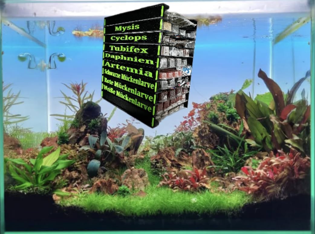 weiße mückenlarven aufbewahren Frostfutterbox Organizer 10-fach inkl. Beschriftung – Meerwasser Hardware Onlineshop