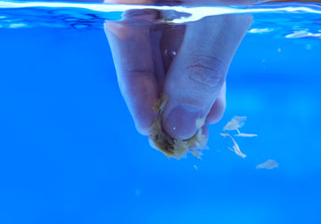 Meerwasser Onlineshop für Meerwasseraquaristik - Meerwasser Hardware – Meerwasser Hardware ...