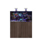 D-D AQUA-Pro Reef 1200 Japanese Pear Gloss 120x60x56cm Aquariumsystem mit Holzschrank