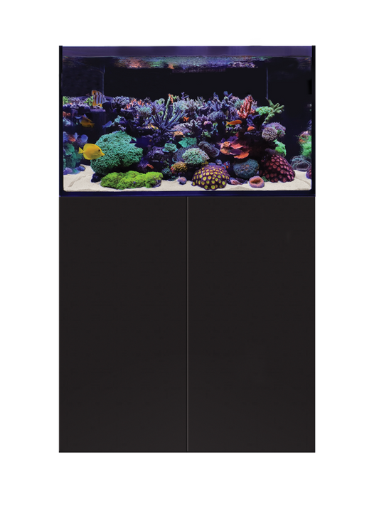 D-D AQUA-Pro Reef 900 Black Satin 90x50x60cm Aquariumsystem mit Holzschrank