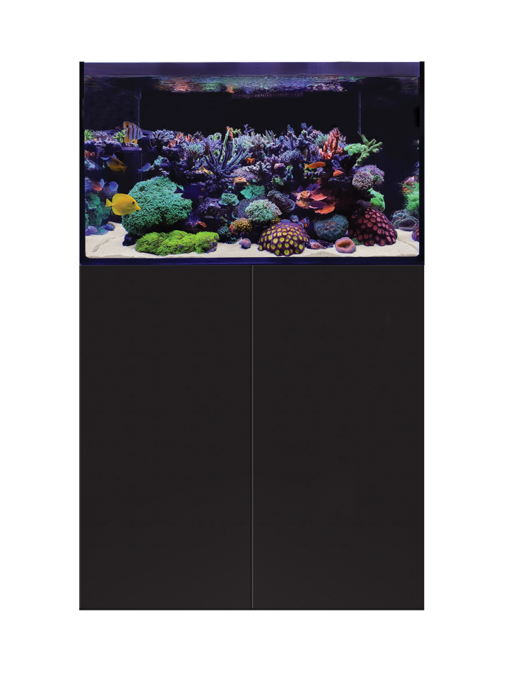 D-D AQUA-Pro Reef 900 Black Satin 90x50x60cm Aquariumsystem mit Holzschrank