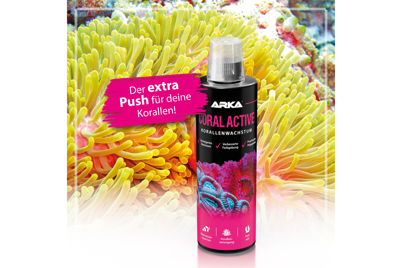 ARKA Coral Active Korallenwachstum & Farbenpracht 473 ml
