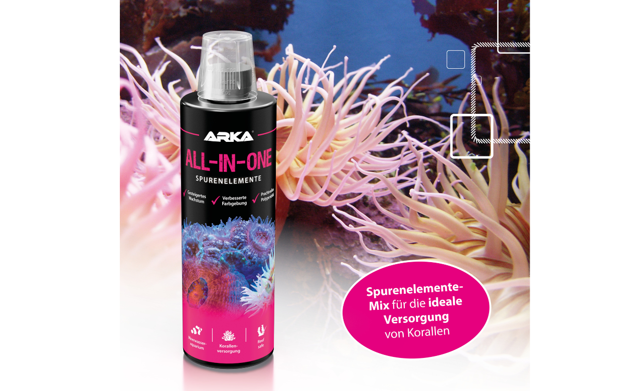 ARKA All-In-One Spurenelemente Versorgung 473 ml