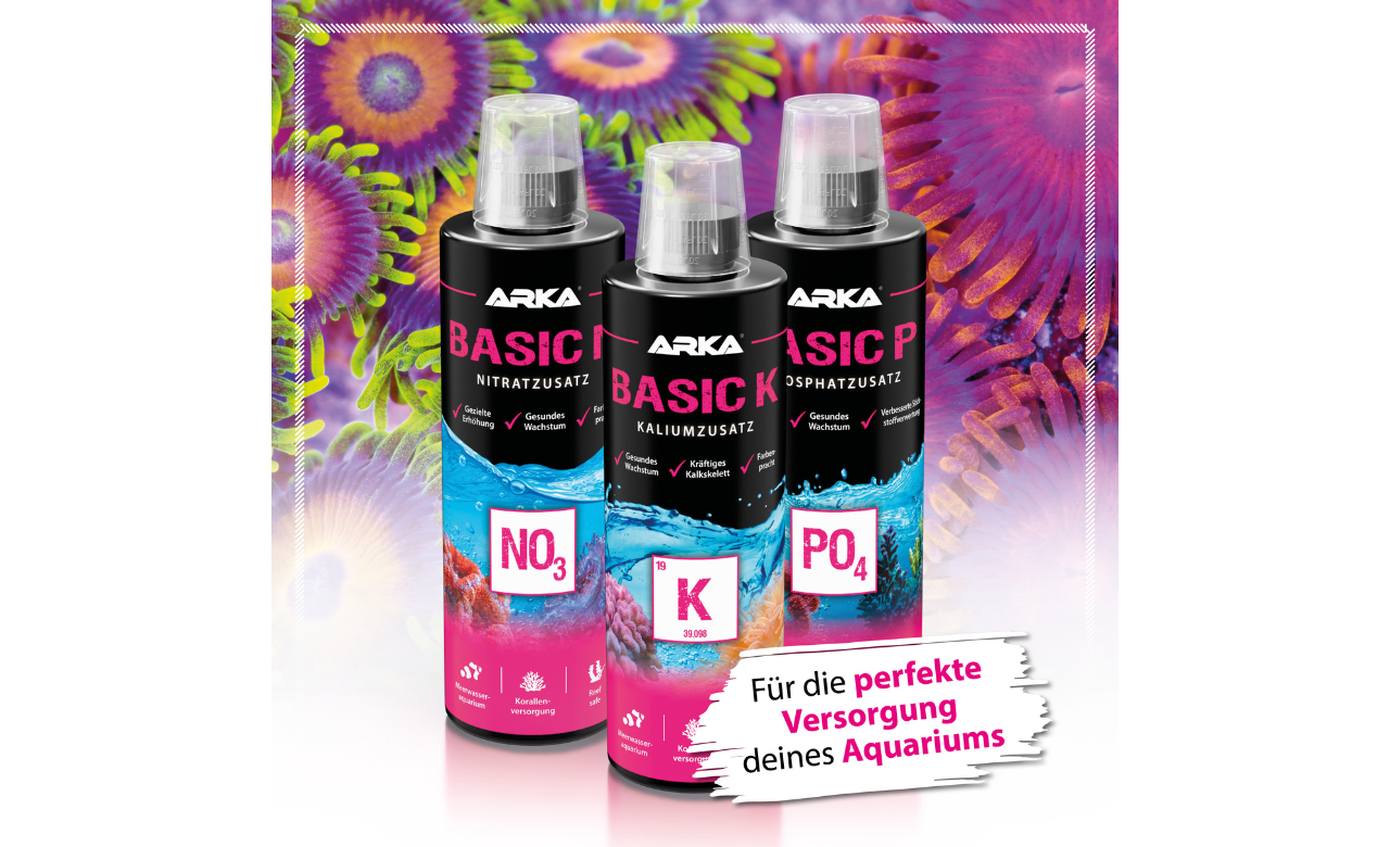 ARKA Basic N Nitrat Plus 118 ml