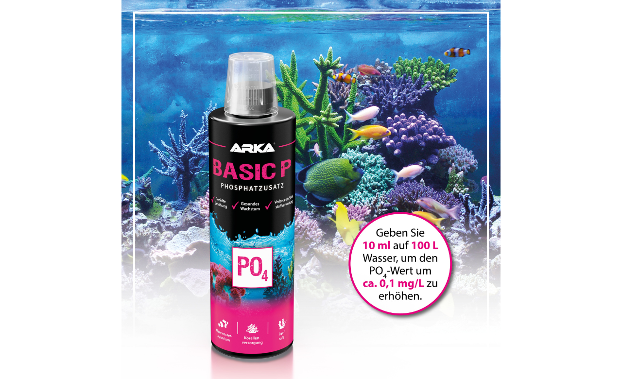 ARKA Basic P Phosphat Plus 473 ml