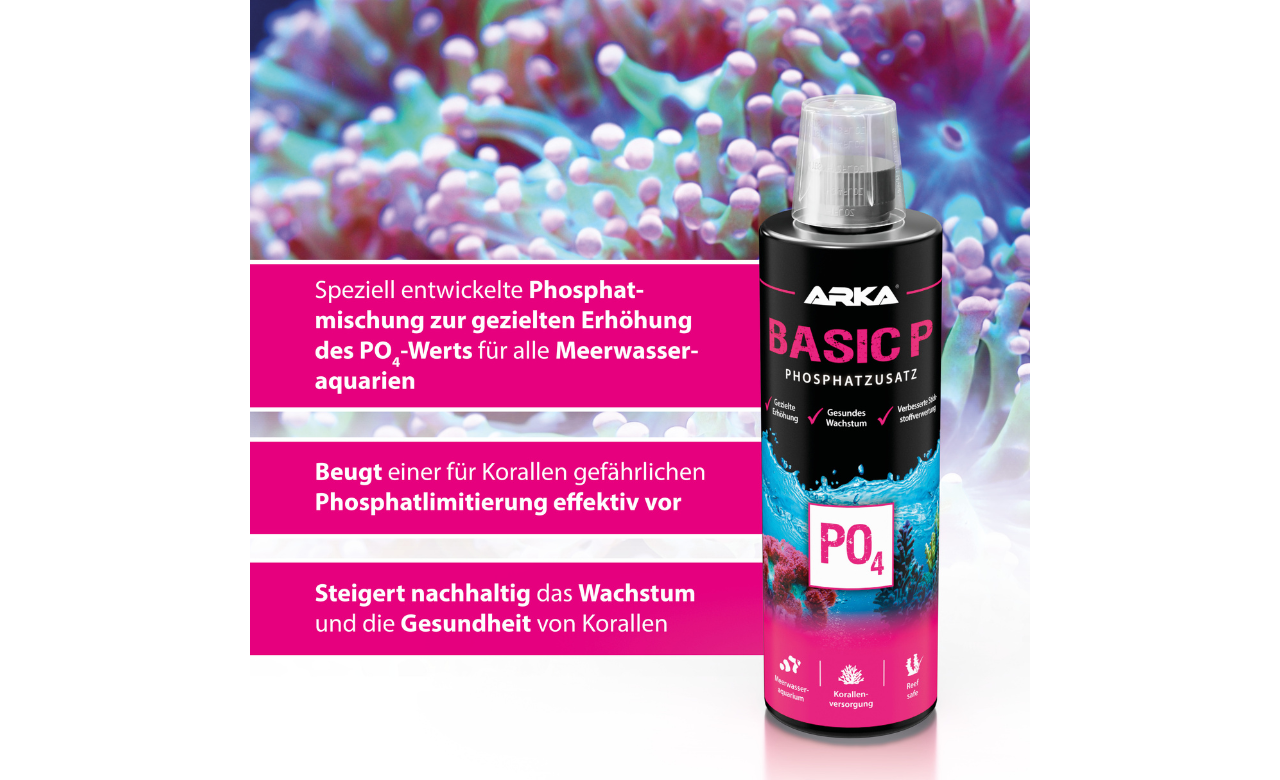 ARKA Basic P Phosphat Plus 473 ml
