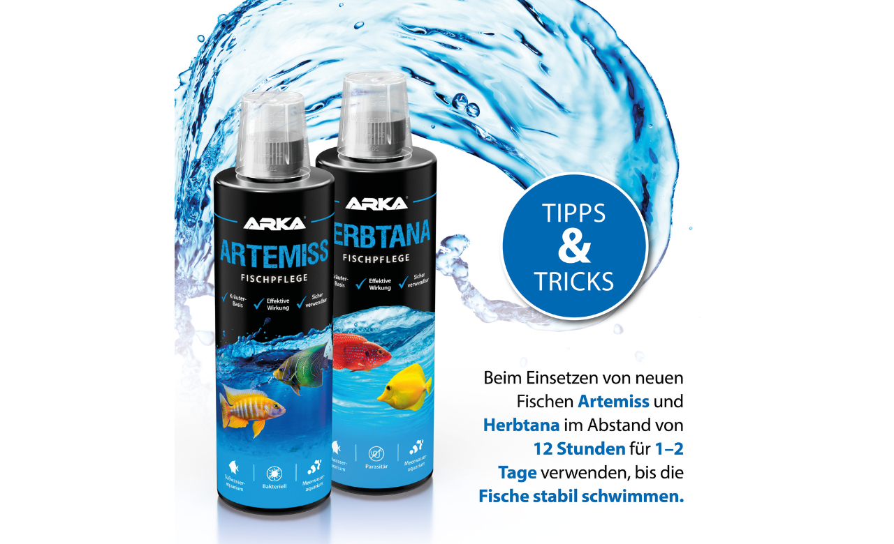 ARKA Herbtana Fischpflege 236 ml