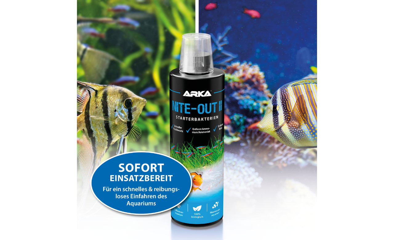 ARKA Nite-Out II Starterbakterien 236ml