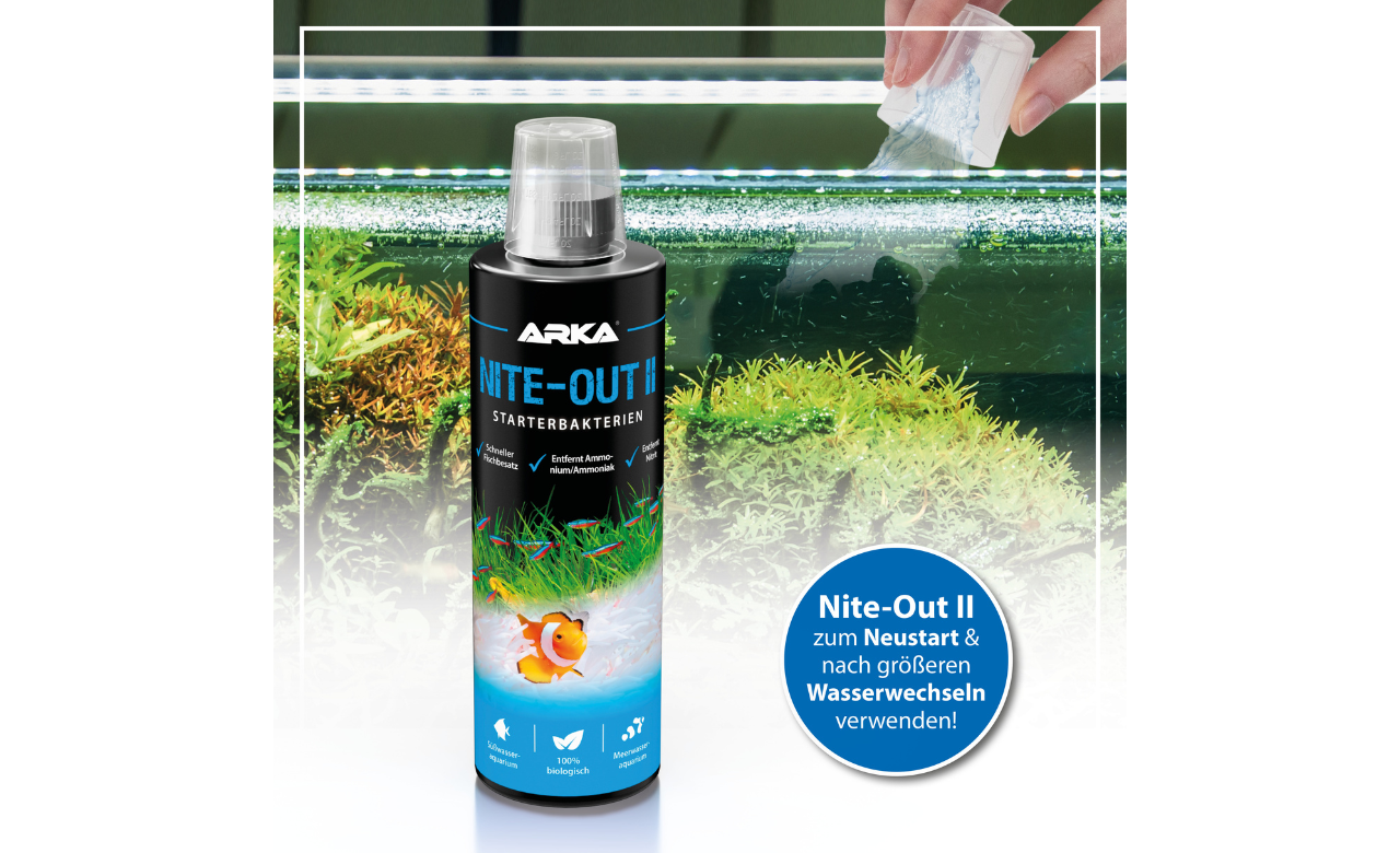 ARKA Nite-Out II Starterbakterien 473ml