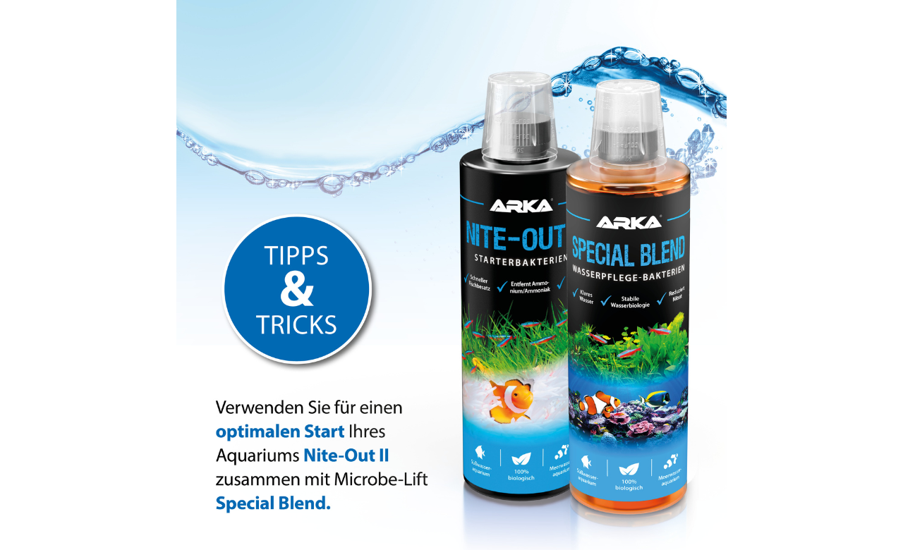 ARKA Nite-Out II Starterbakterien 118ml
