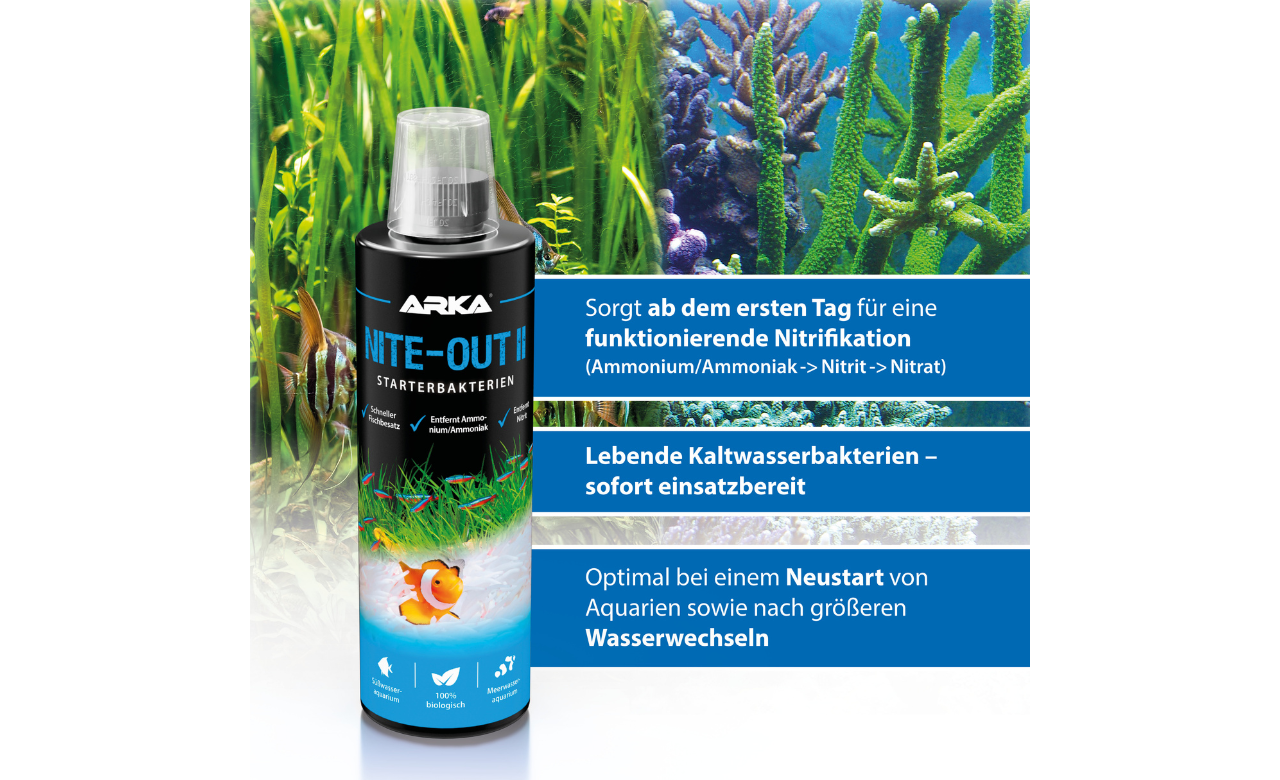 ARKA Nite-Out II Starterbakterien 473ml