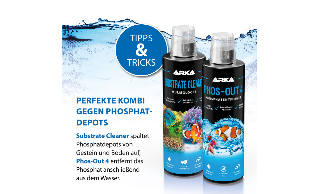 ARKA Phos-Out 4 flüssiger Phosphatentferner 236 ml