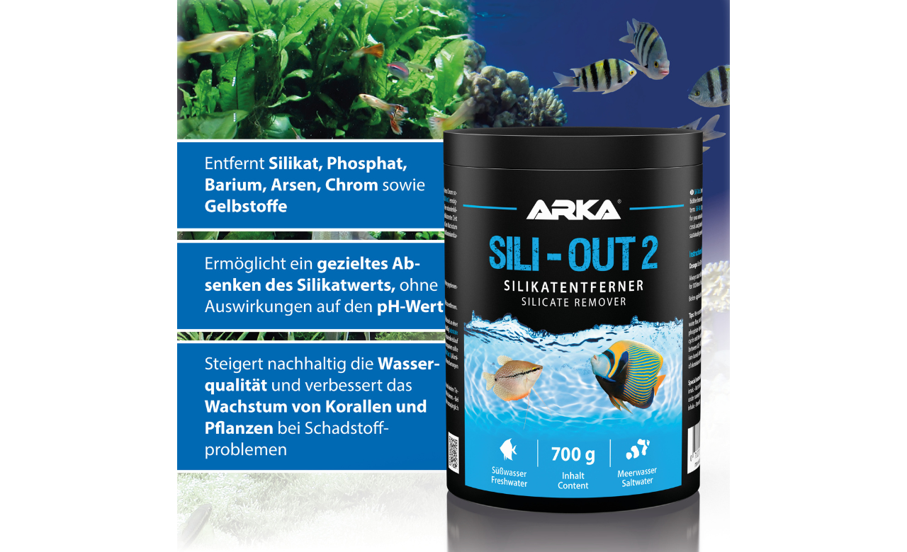 ARKA Sili-Out 2 Silikatentferner 700 g