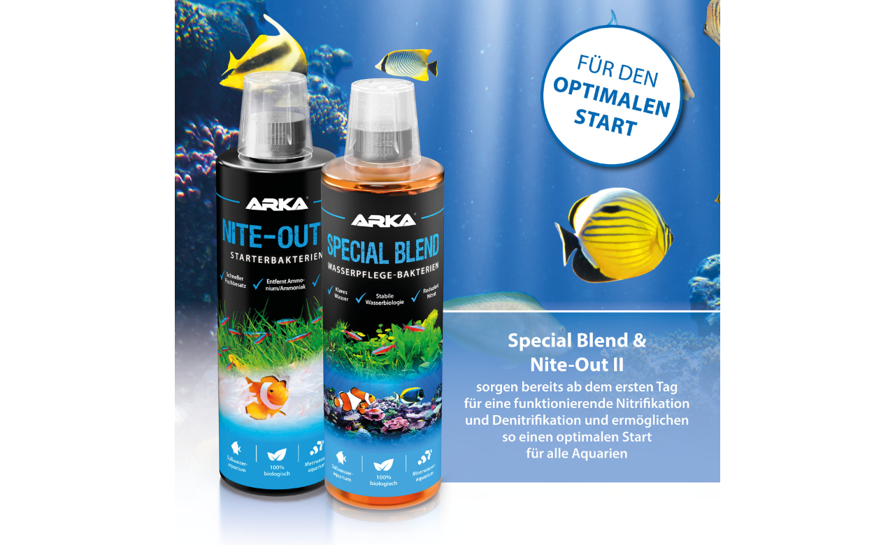 ARKA Special Blend Wasserpflege Bakterienmischung 473 ml