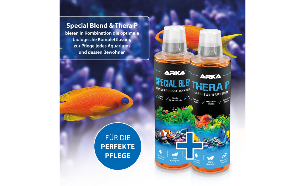 ARKA Thera P Tierpflege Bakterien 118 ml