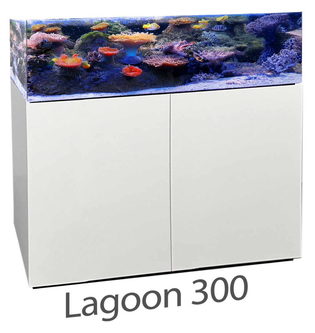 *NEU* Aqua Medic Armatus Lagoon 300 weiß 100x65x40 cm