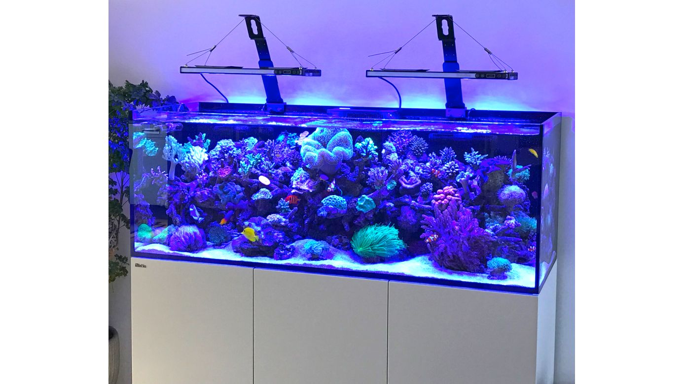 Bananaquarium ULS Halter (Universal Light Support)