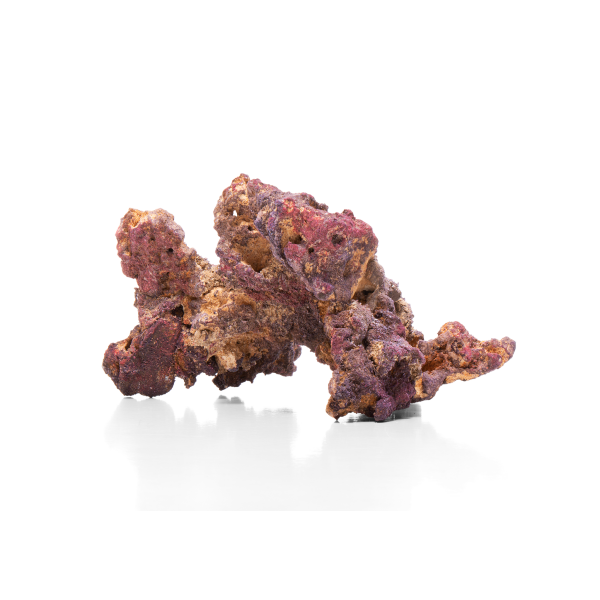 CaribSea LifeRock Arches 4 Stück/Bögen, 9,07 kg 30 cm