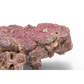 CaribSea LifeRock XL Arch (1 Bogen ca. 61cm)