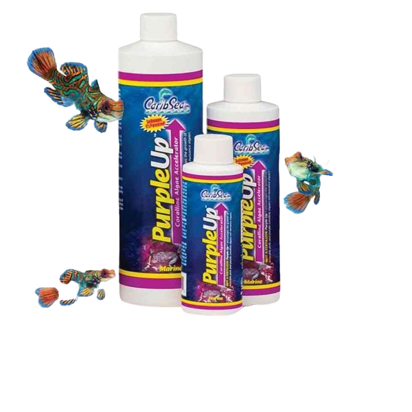 CaribSea Purple Up Kalkrotalgen und Korallen Booster 237 ml