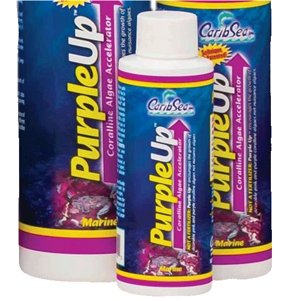 CaribSea Purple Up Kalkrotalgen und Korallen Booster 237 ml