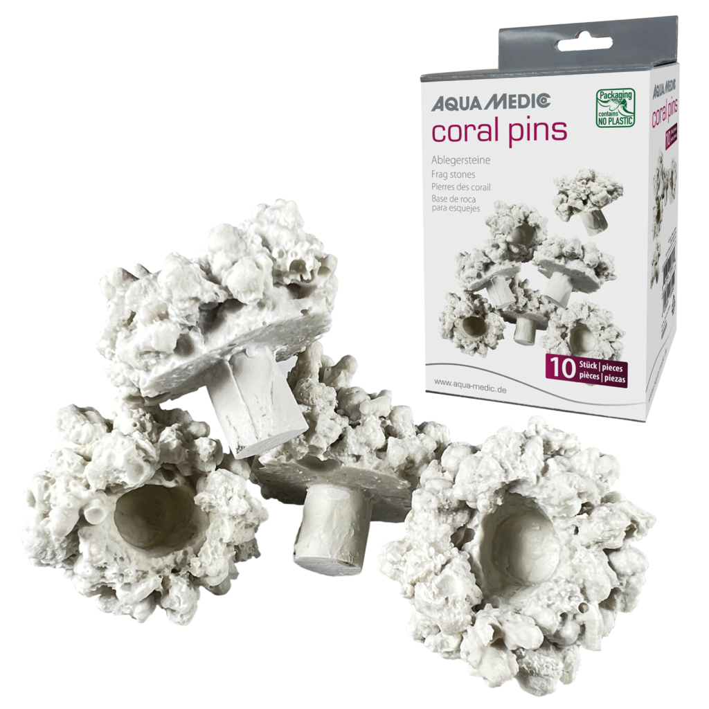 *NEU* Aqua Medic coral pins Ablegersteine (10 St.)