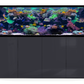 *NEU* D-D AQUA-Pro Reef 2100 Metal Frame Anthracite Gloss Aquariumsystem 210x65x68cm
