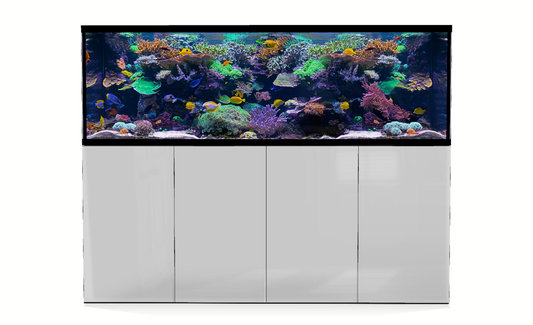 *NEU* D-D AQUA-Pro Reef 2100 Metal Frame White Gloss Aquariumsystem 210x65x68cm