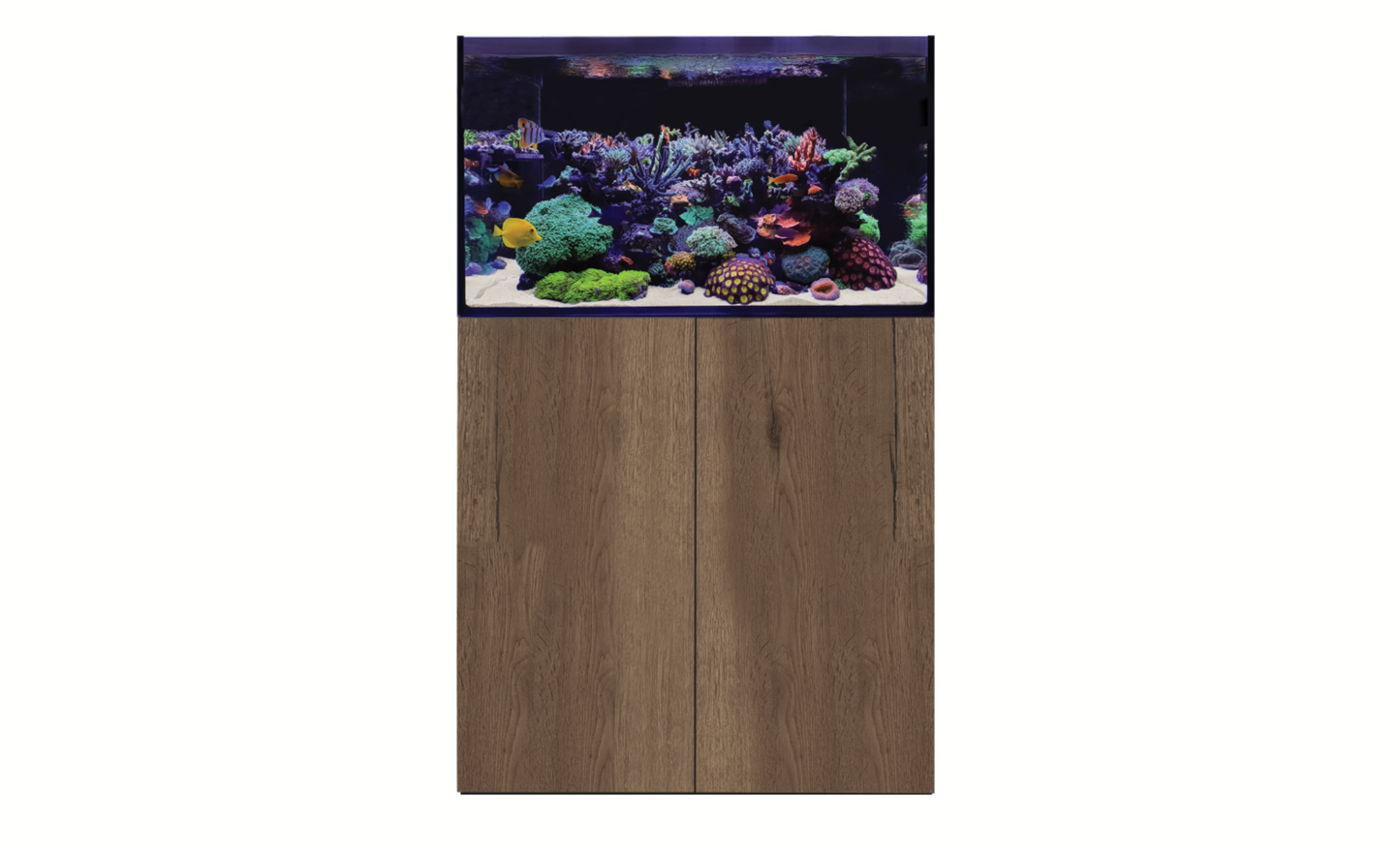 D-D AQUA-Pro Reef 900 Tobacco Oak 90x50x56cm Aquariumsystem mit Holzschrank