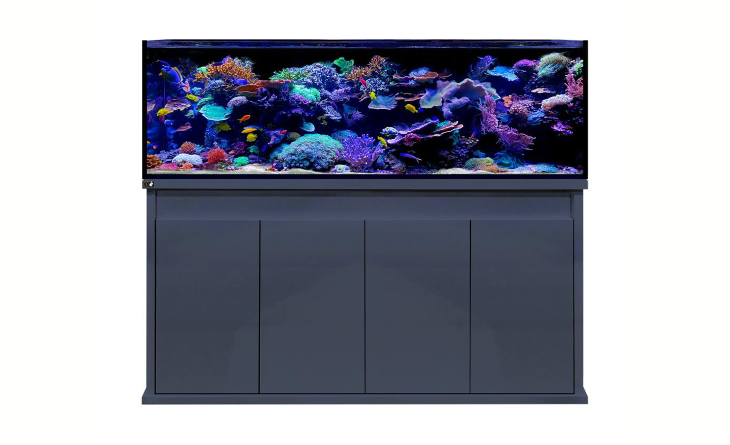D-D Reef-Pro 1800 Anthracite Gloss Aquariumsystem 180x60x56cm