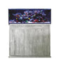 D-D Reef-Pro 1200 Driftwood Concrete Aquariumsystem 120x60x46cm