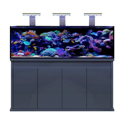 D-D Reef-Pro 1800 Anthracite Gloss Aquariumsystem 180x60x56cm