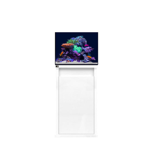 D-D Reef-Pro 600 White Gloss Aquariumsystem 60x60x46cm